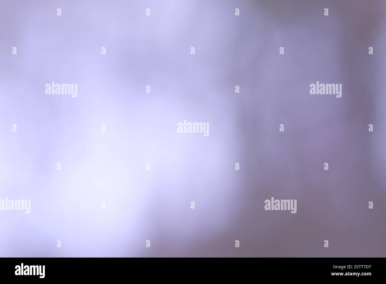 Soft blurred lilac background with subtle light variations Perfect for ...