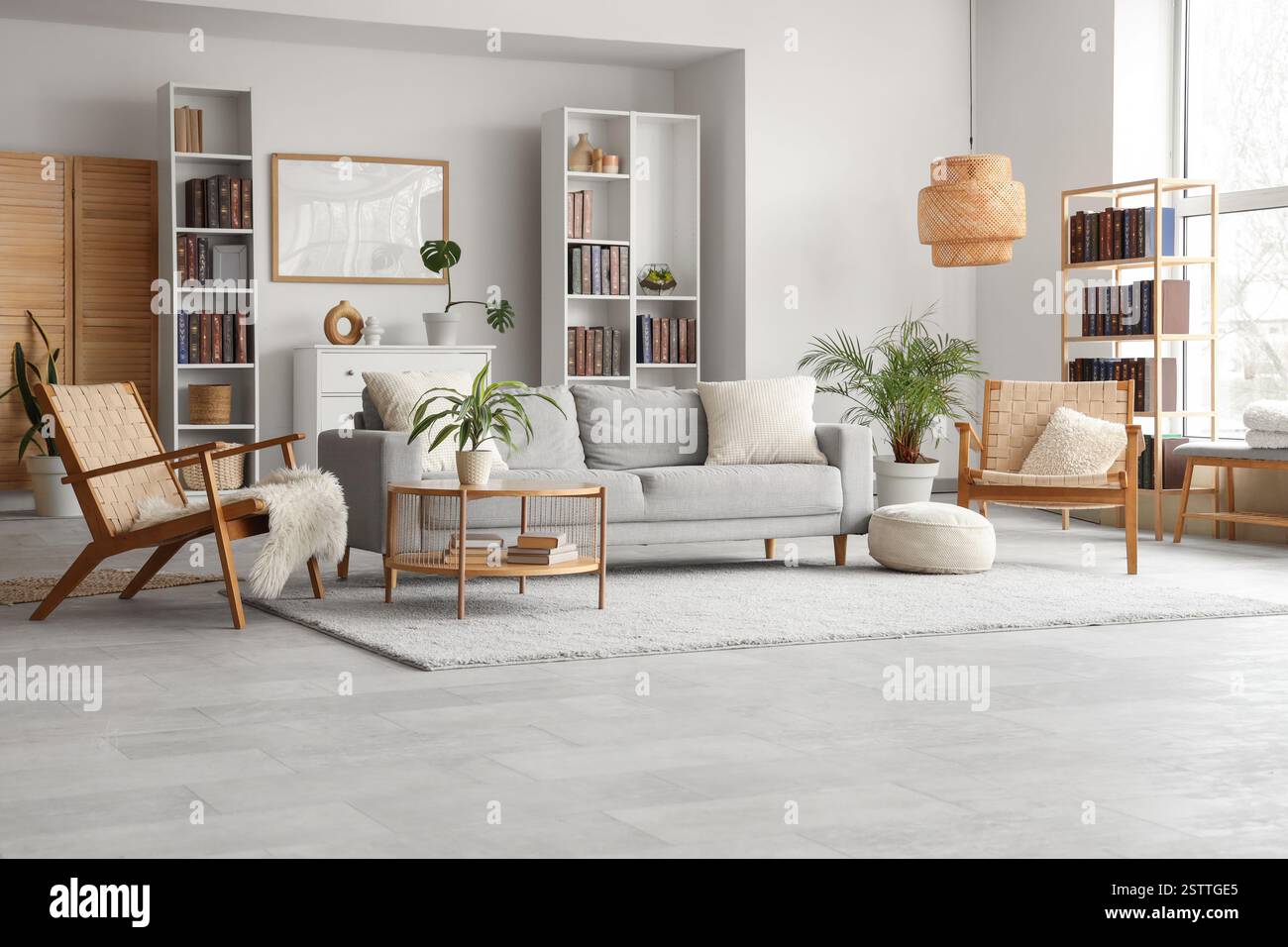 Bookcases, cozy sofa, wicker armchairs and coffee table in interior of ...