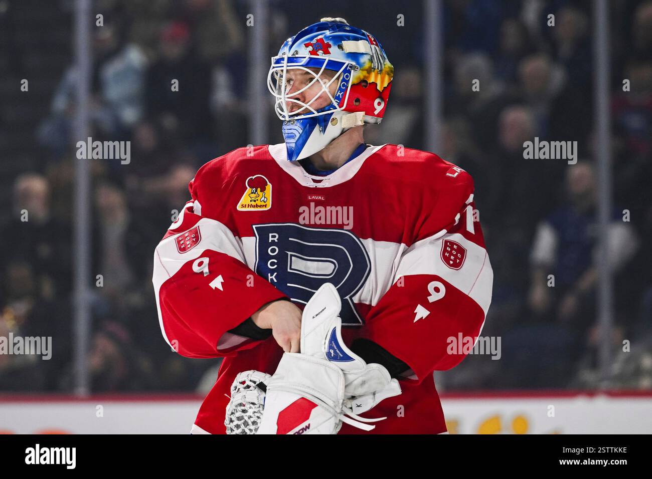 LAVAL, QC - FEBRUARY 19: Look on Laval Rocket goalie Connor Hughes (31 ...