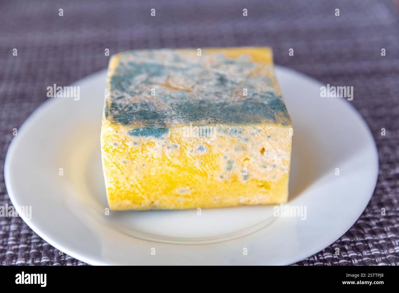 Old, moldy cheese with greenish fungus Stock Photo
