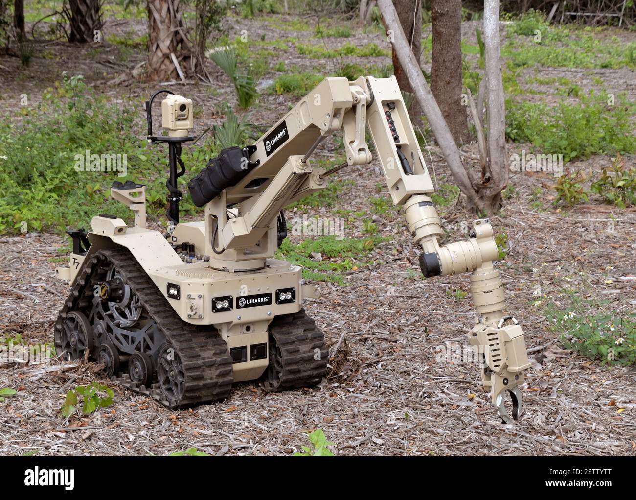 Military cleanup operations hi-res stock photography and images - Alamy