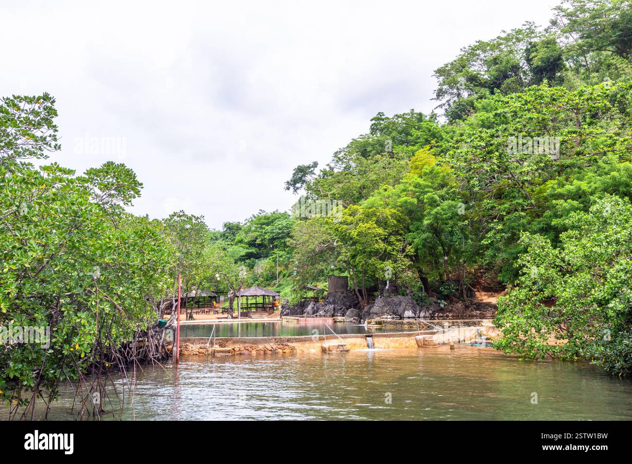 View of Maquinit Hot Spring pool in Coron, Philippines, a rare saltwater hot spring and popular tourist destination with warm natural waters Stock Photo