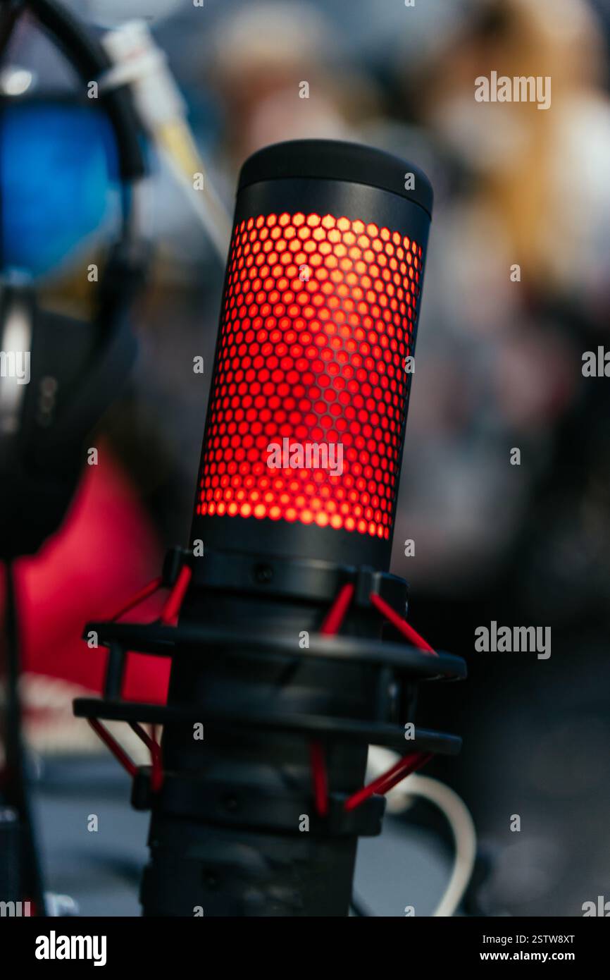 Professional studio condenser microphone attached to shock mount Stock ...