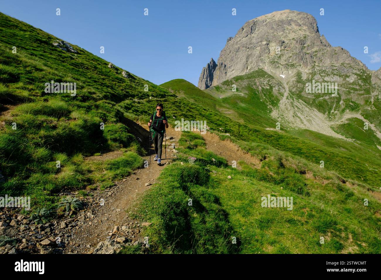 Natural col hi-res stock photography and images - Alamy