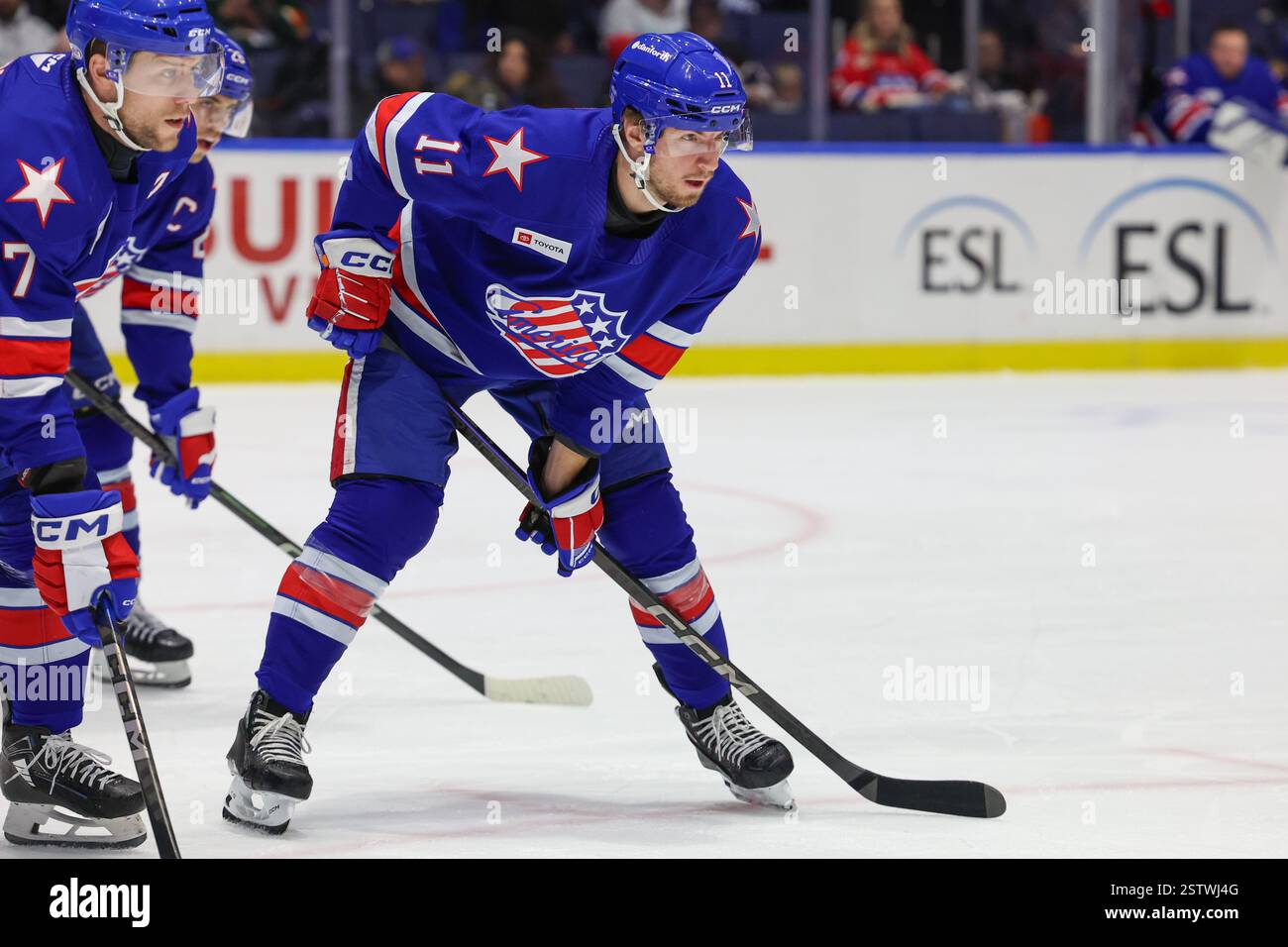 February 19th 2025: Rochester Americans forward Lukas Rousek (11 ...