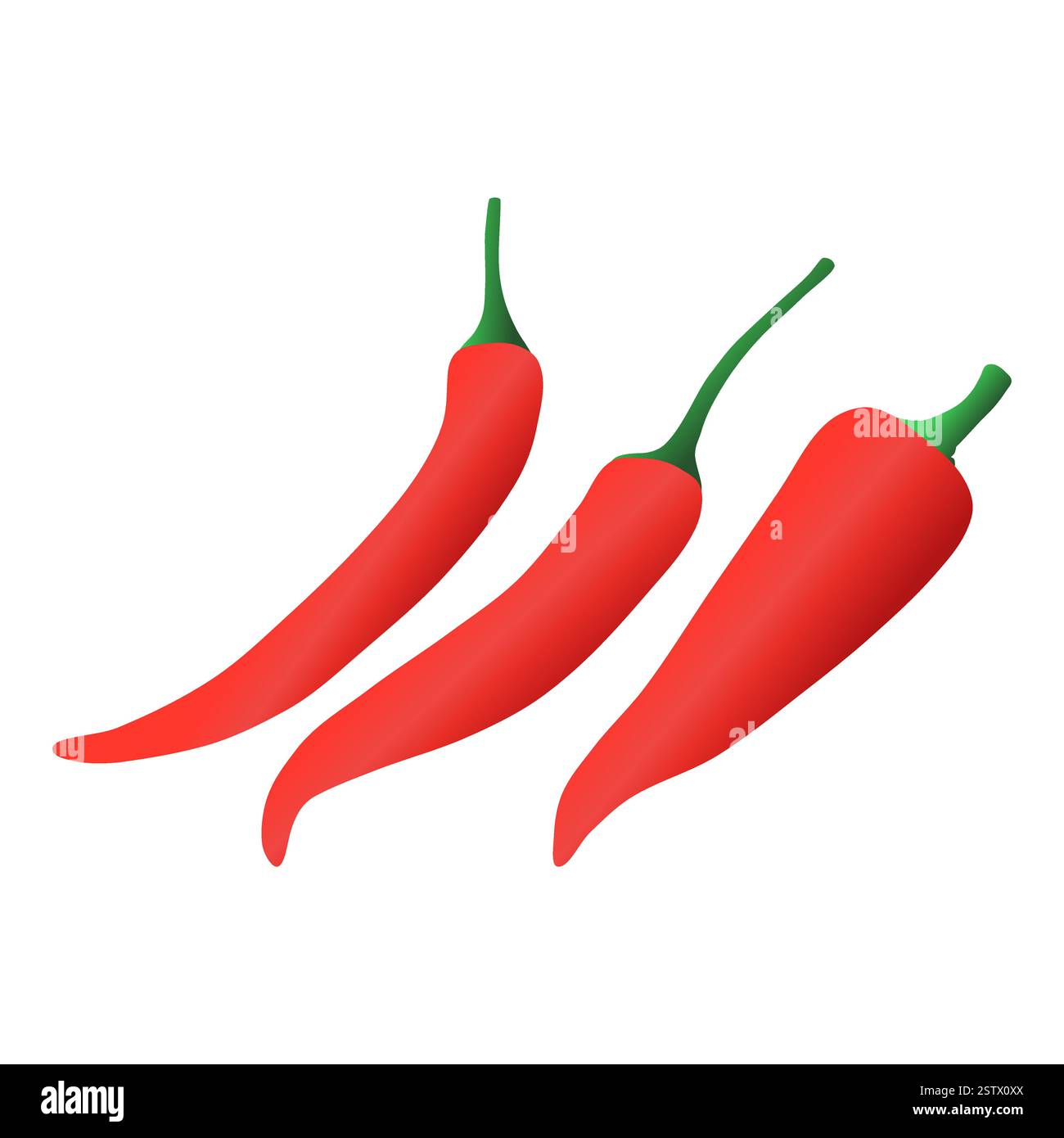 Hot Red Chili Peppers Cooking Ingredient Vector. Fresh Red Chili Pepper ...