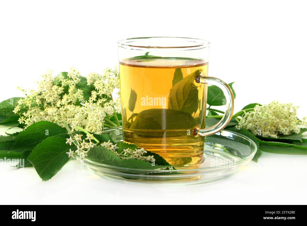 Common cold tea hi-res stock photography and images - Alamy