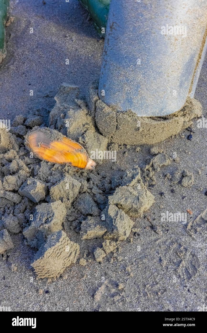 Copalis beach hi-res stock photography and images - Alamy