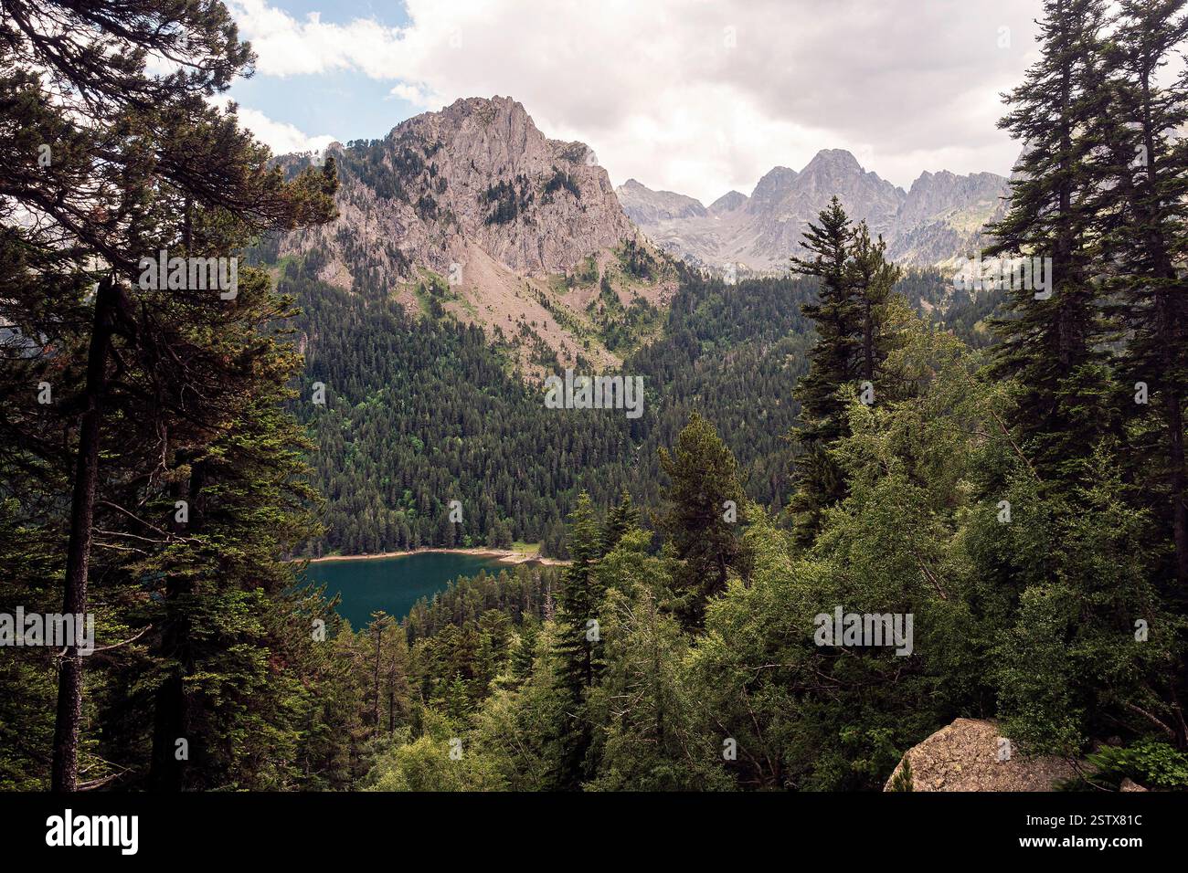 Mountain lake lush forest hi-res stock photography and images - Alamy