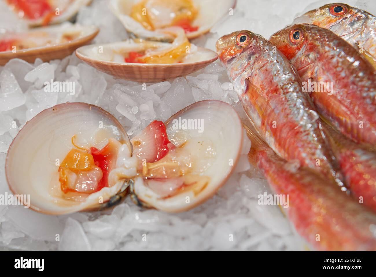 exhibition of shellfish and mullet seafood in Malaga, Spain Stock Photo