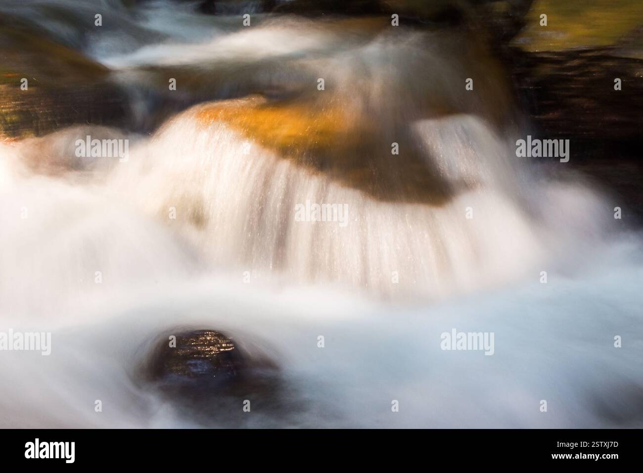 water flow of shypit stream. wet stone. summer nature scenery in dappled light. closeup view of refreshing outdoor background. peaceful purity Stock Photo