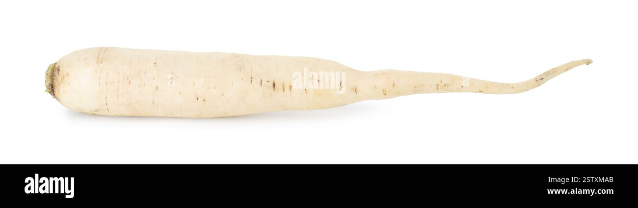 Whole fresh turnip isolated on white. Vegetable root Stock Photo