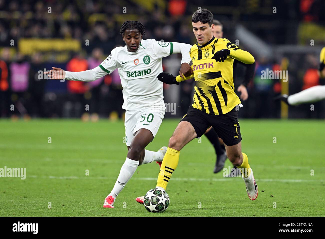 cronaca borussia dortmund - sporting lisbona