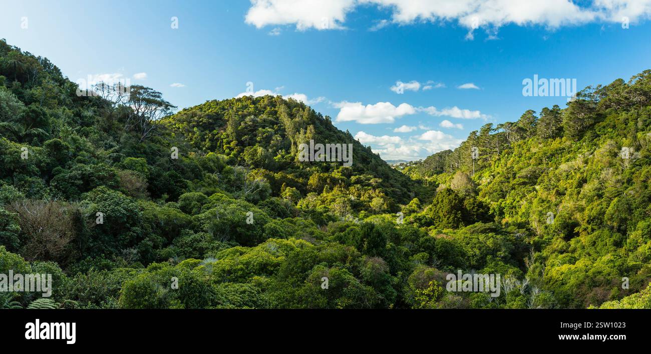 Zealandia, an eco-sanctuary in Wellington, the capital of New Zealand ...