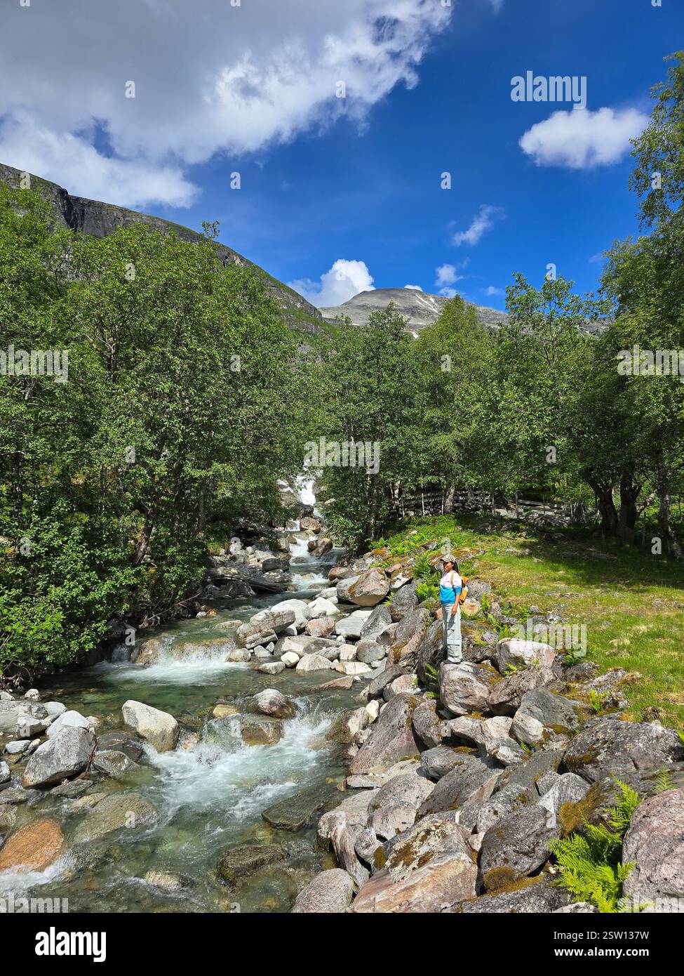 Exploring Norway's Breathtaking Mountain Stream on a Sunny Day Stock Photo