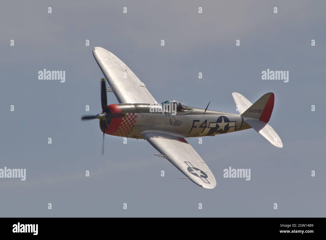 Republic P-47D, Thunderbolt, Nellie, in flight Stock Photo