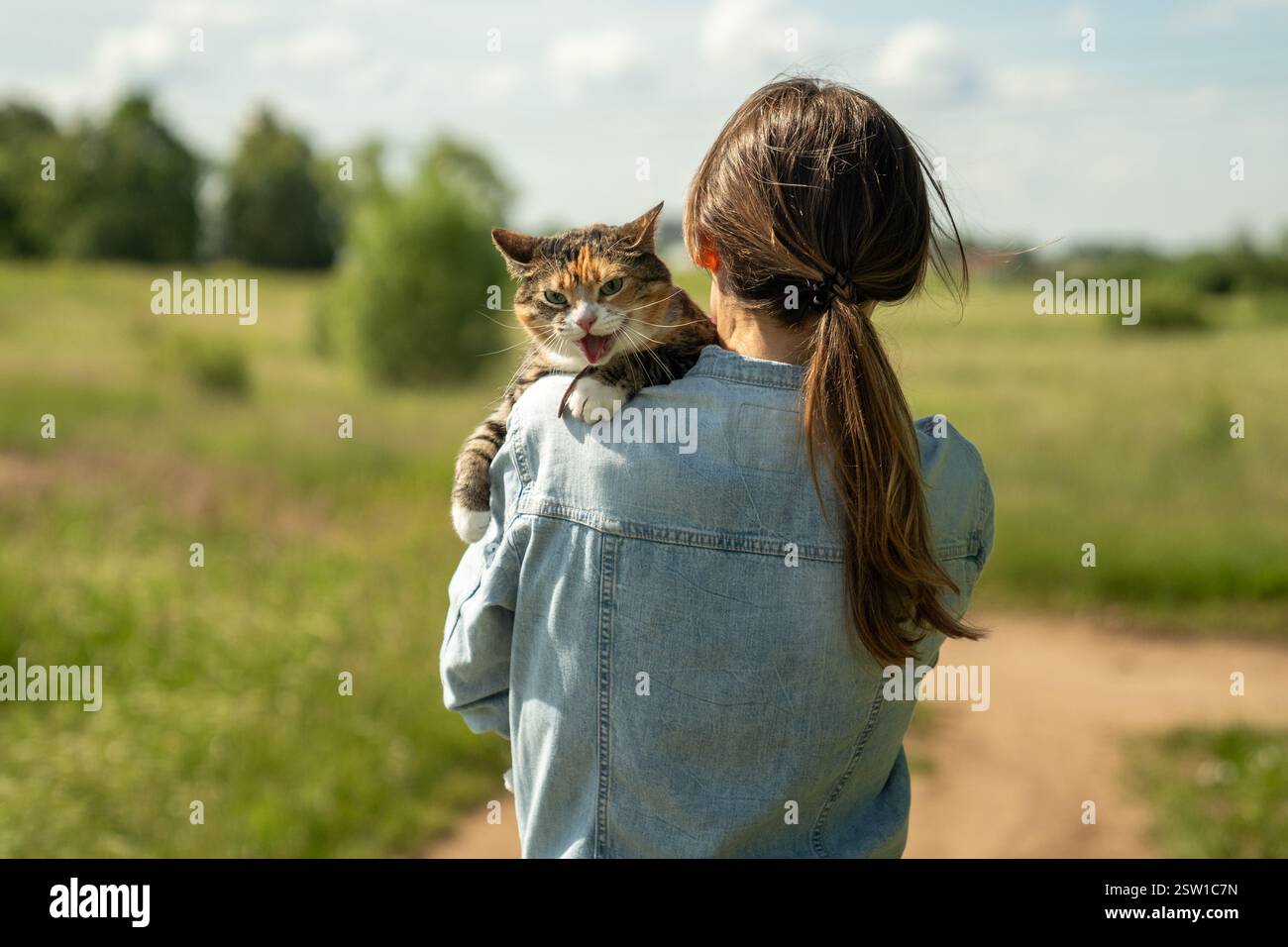 Visual Reference: Domestic Cat On Leash For First Time Outdoor Sits On