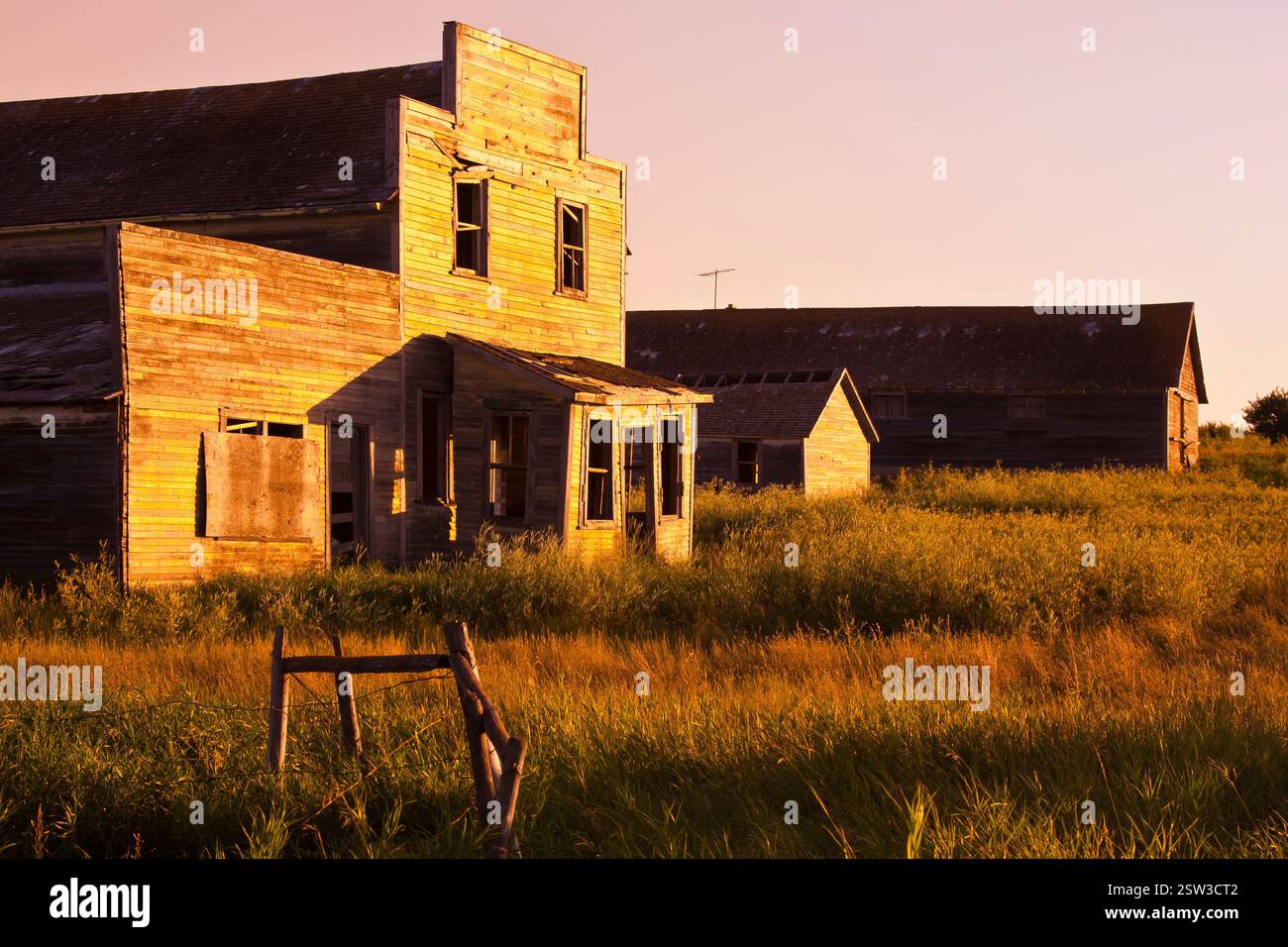 Small, run down house sits in a field of tall grass. The house is ...