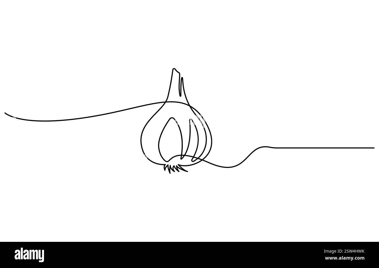Garlic vector illustration, background. One line drawing art ...