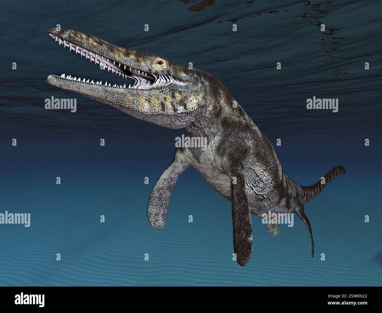 Mosasaur tylosaurus hi-res stock photography and images - Alamy