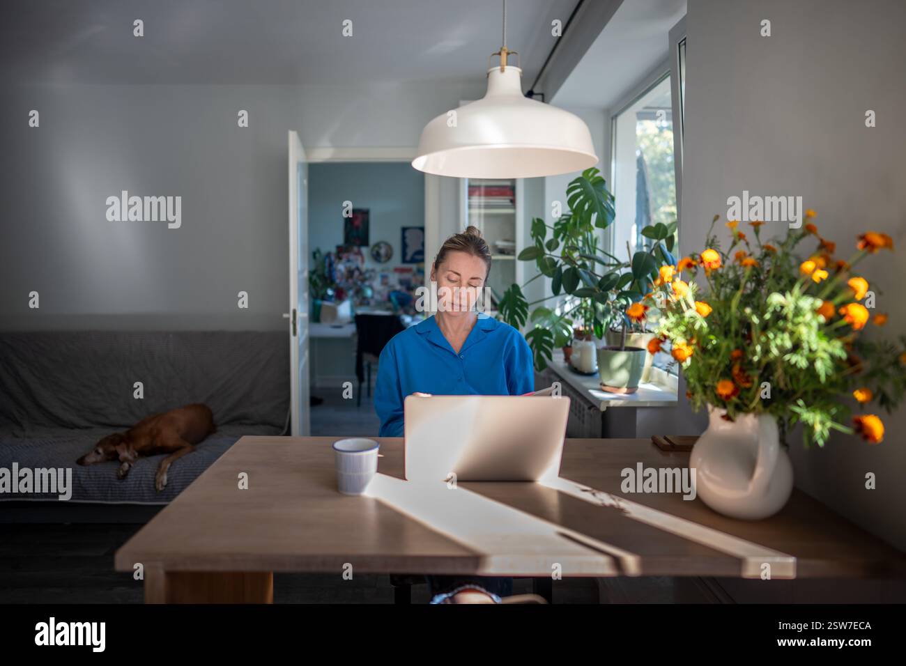 Thoughtful woman of middle age working at laptop from home office. Remote working. Stock Photo