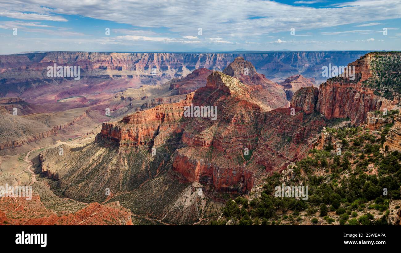 North Rim Spring North Rim, Grand Canyon National Park, Arizona Stock Photo - Alamy