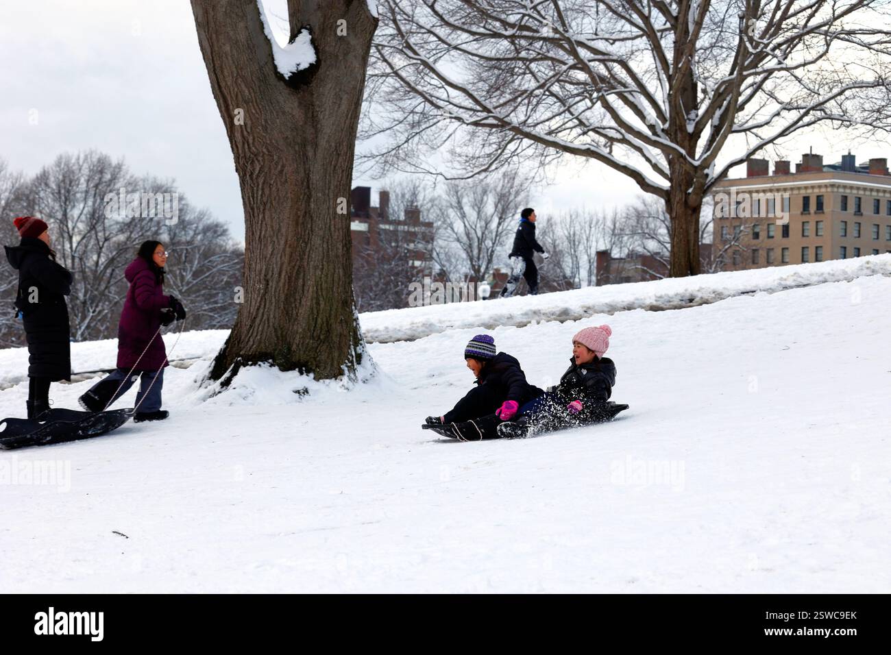 Kids sledding on Boston Commons, sledding down Flagstaff Hill, Boston ...