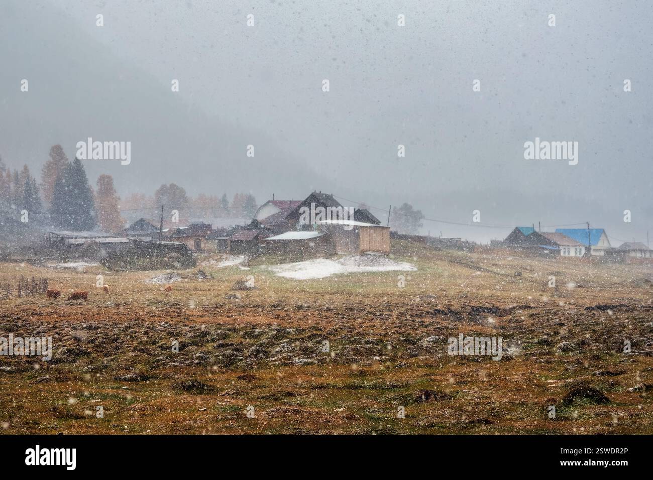 Snow during fall. Small village under the mountain Stock Photo - Alamy