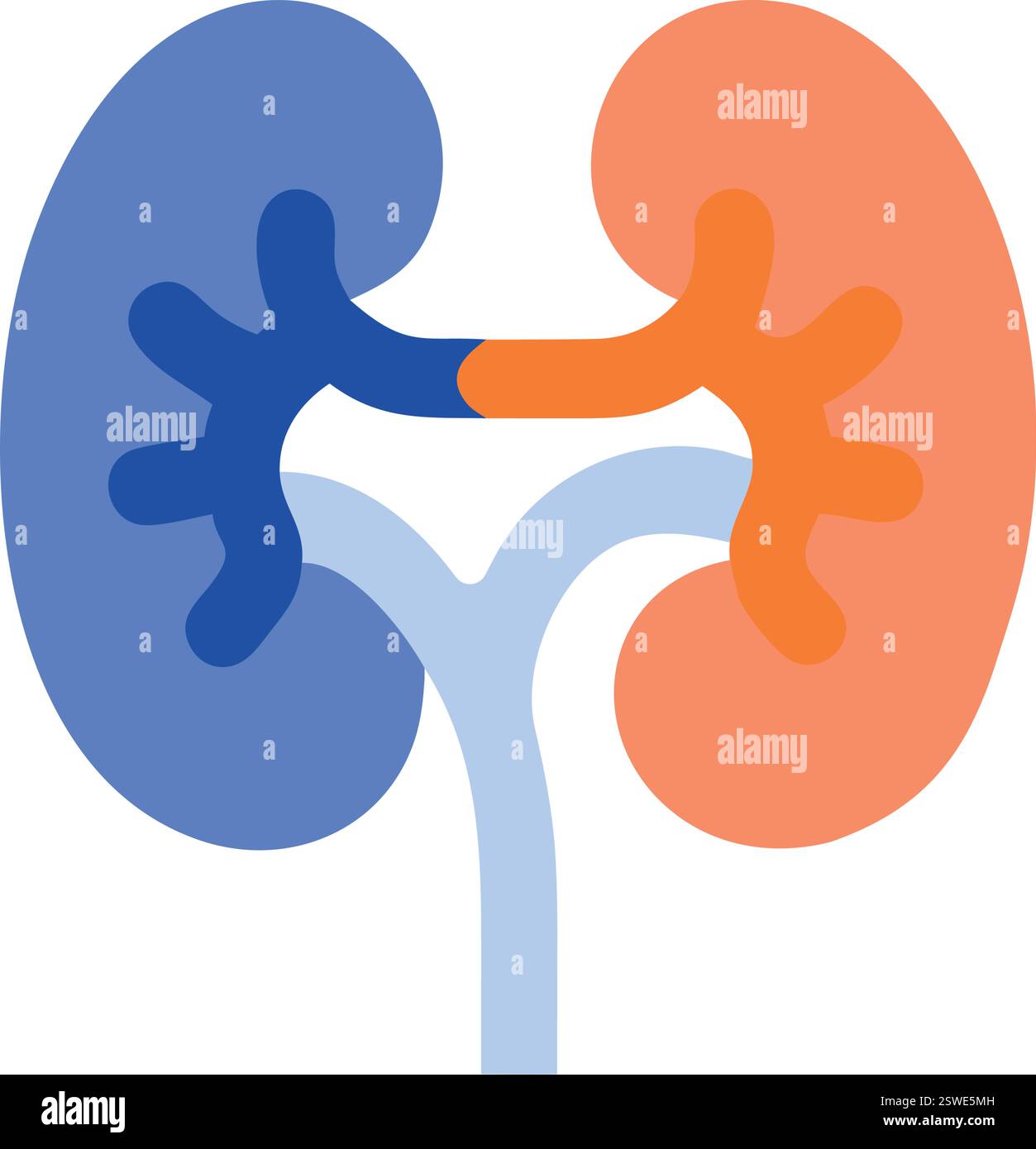 Healthy and diseased kidney icon Stock Vector Image & Art - Alamy