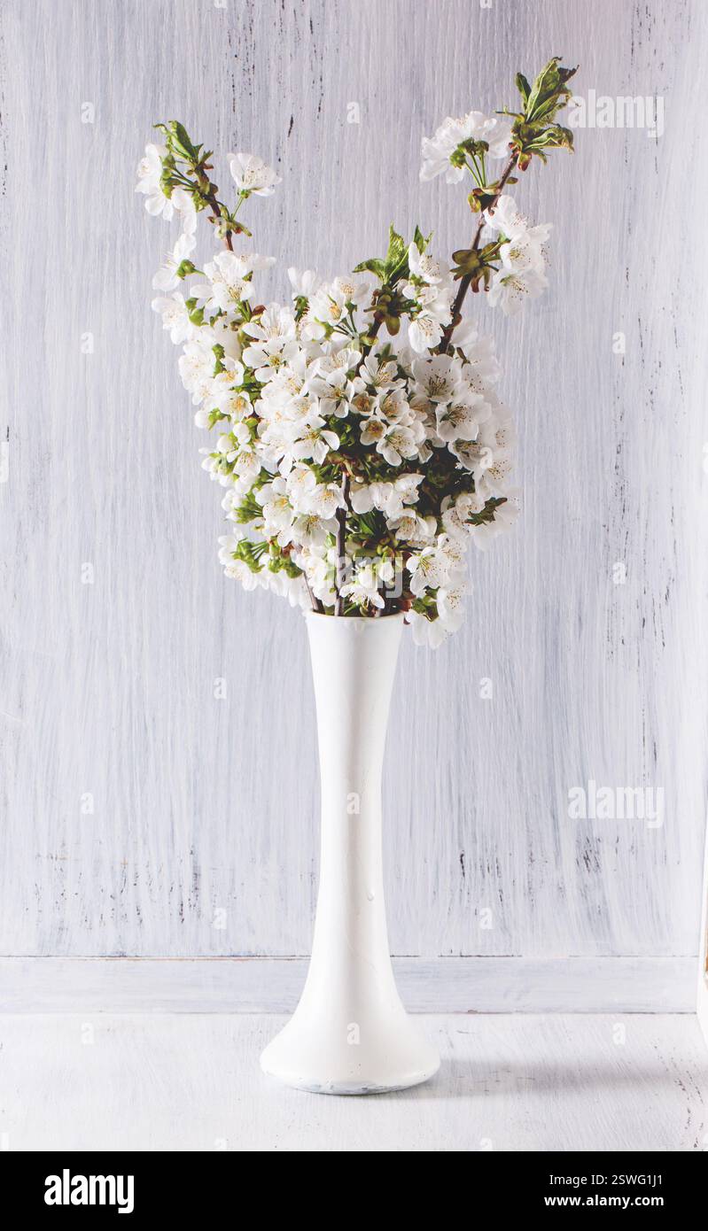 Bouquet of apple flowers Stock Photo