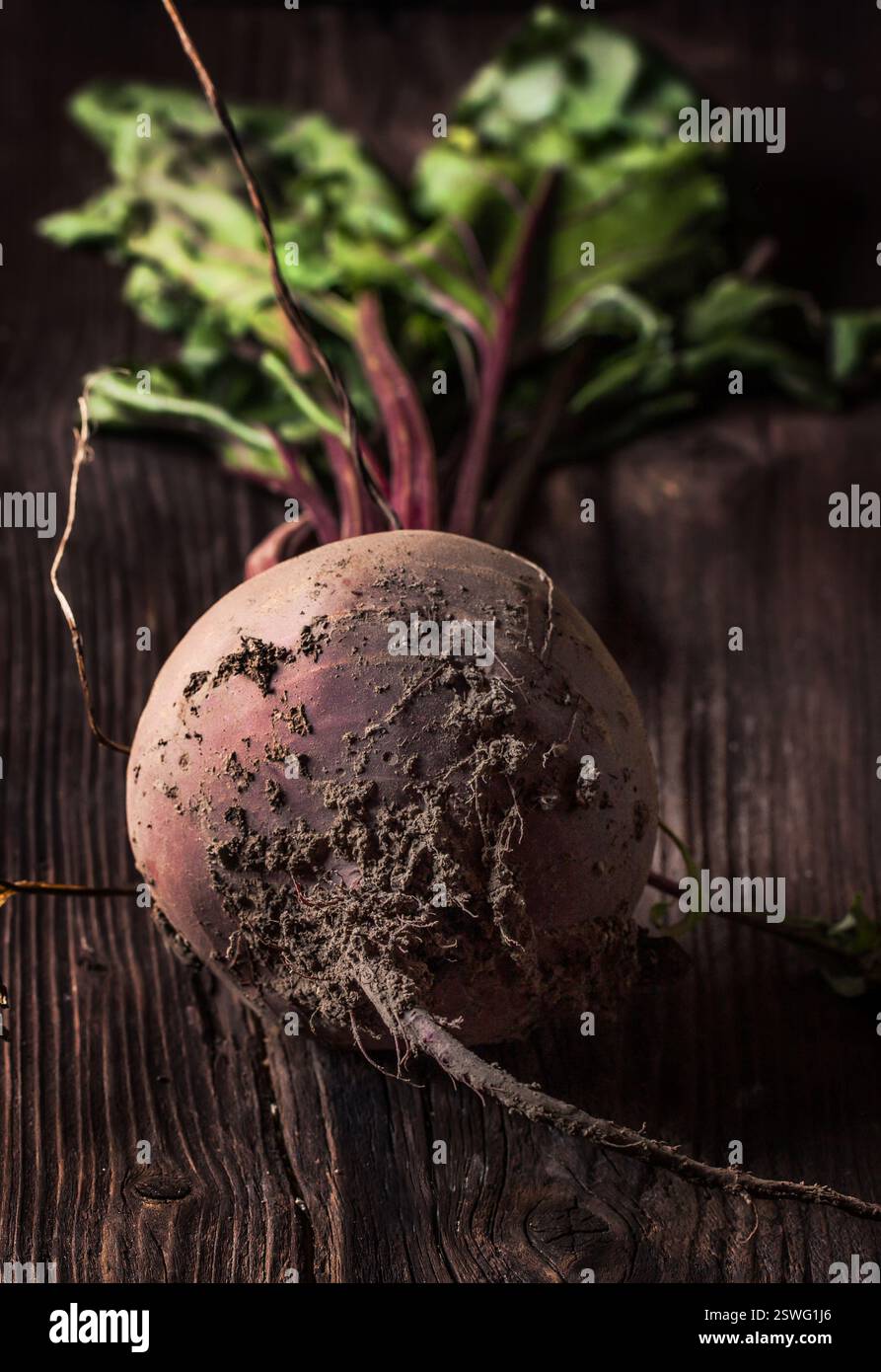 Beetroot on wood Stock Photo