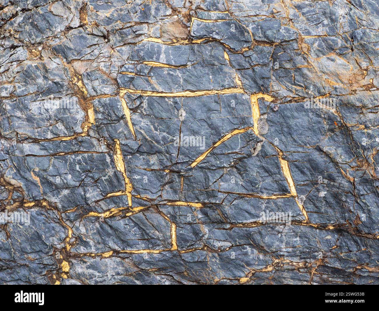 Really Rude Looking Rocks Gold-veined stone, a natural mineral Textured vivid geological ...