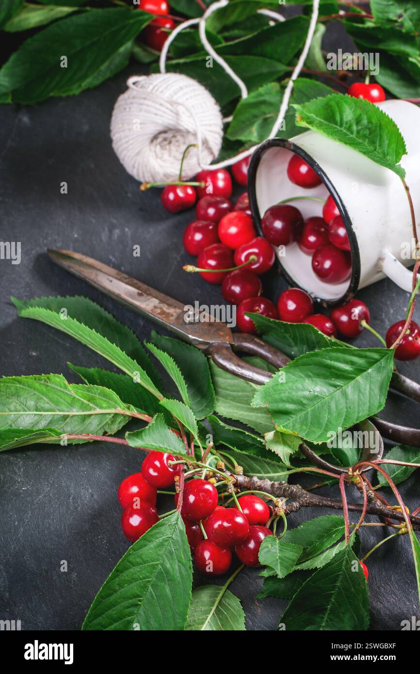 Bunch of cherry tree with vintage scissors hi-res stock photography and ...