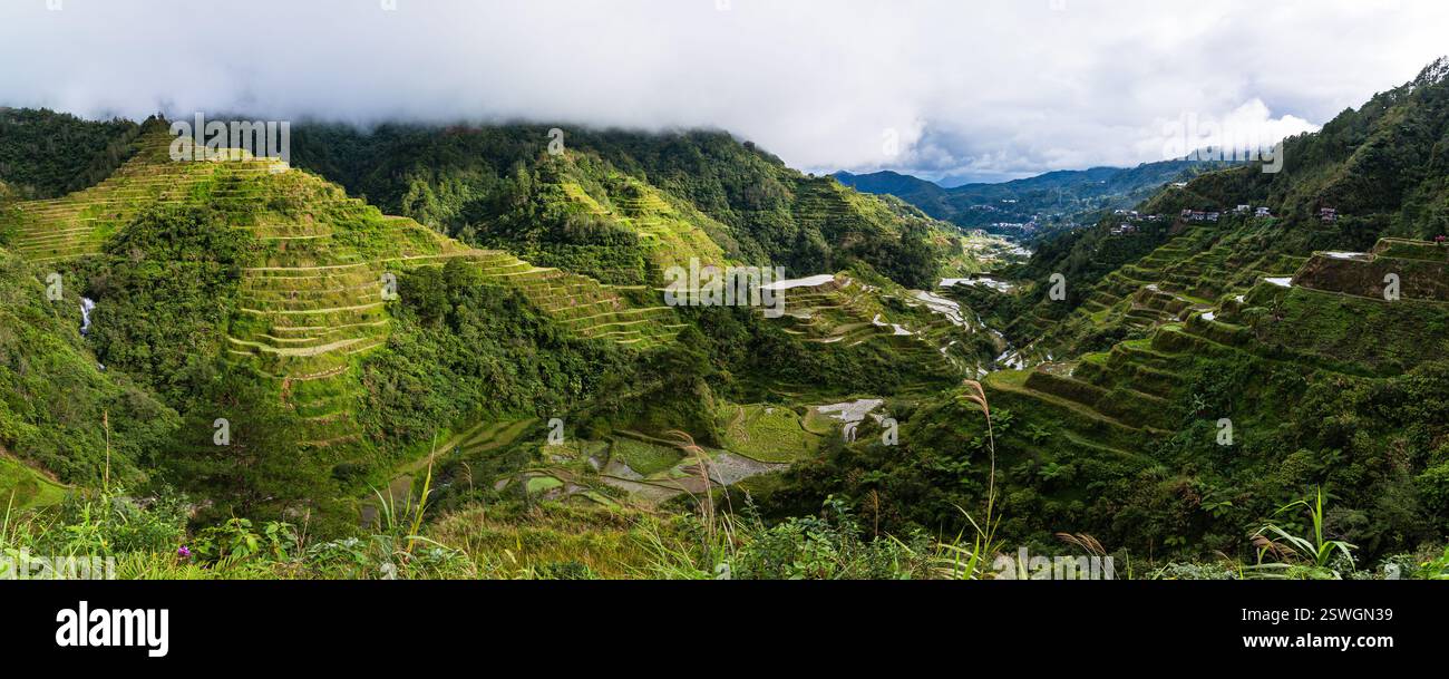 Cordon Rice Field Terraced rice fields in Banaue in Cordilella, Philippines Stock Photo ...