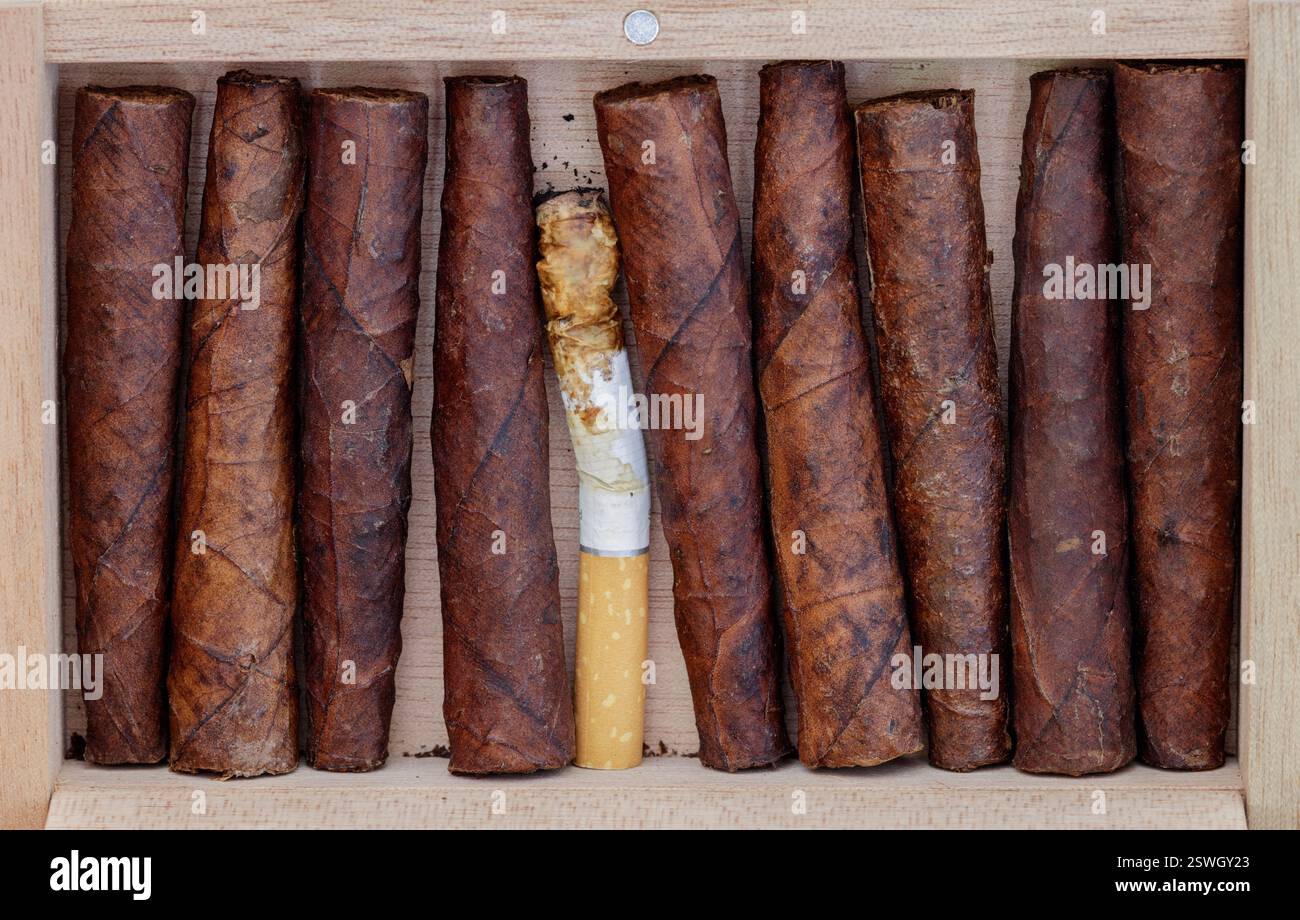 Tuscany cigars hi-res stock photography and images