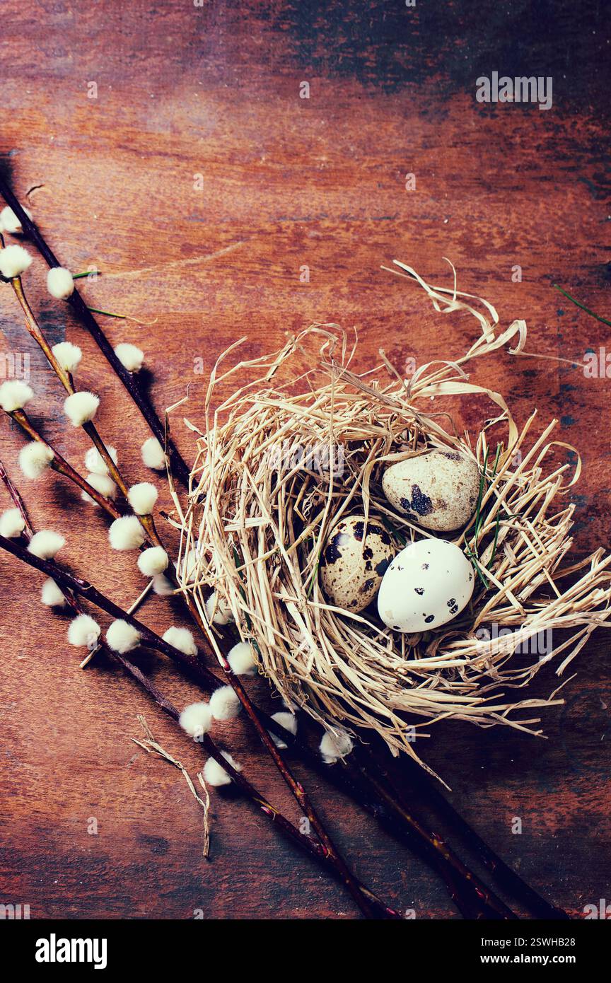 Easter decoration with quail eggs Stock Photo