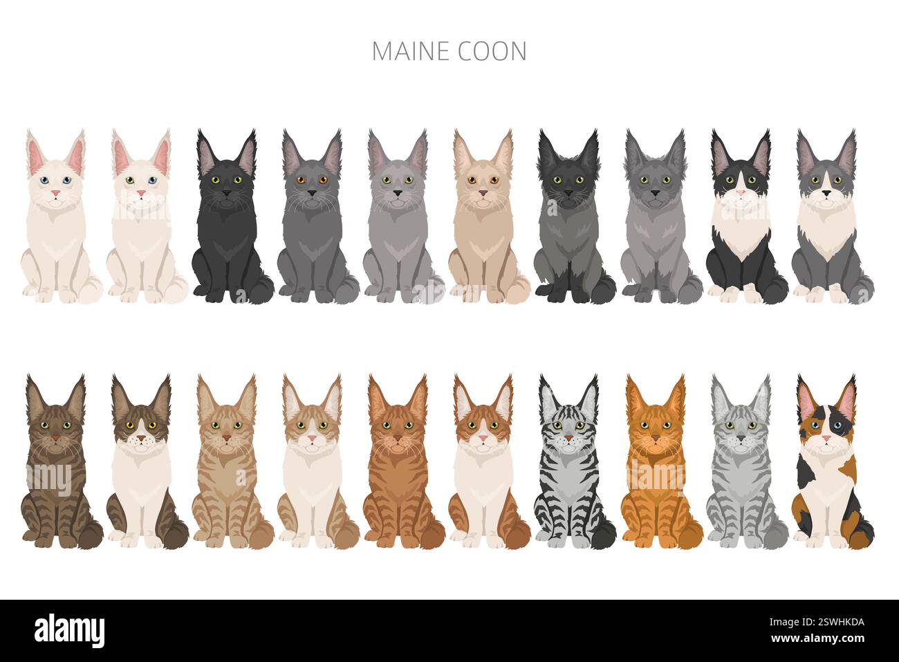 Maine Coon Cat clipart. All coat colors set. All cat breeds ...