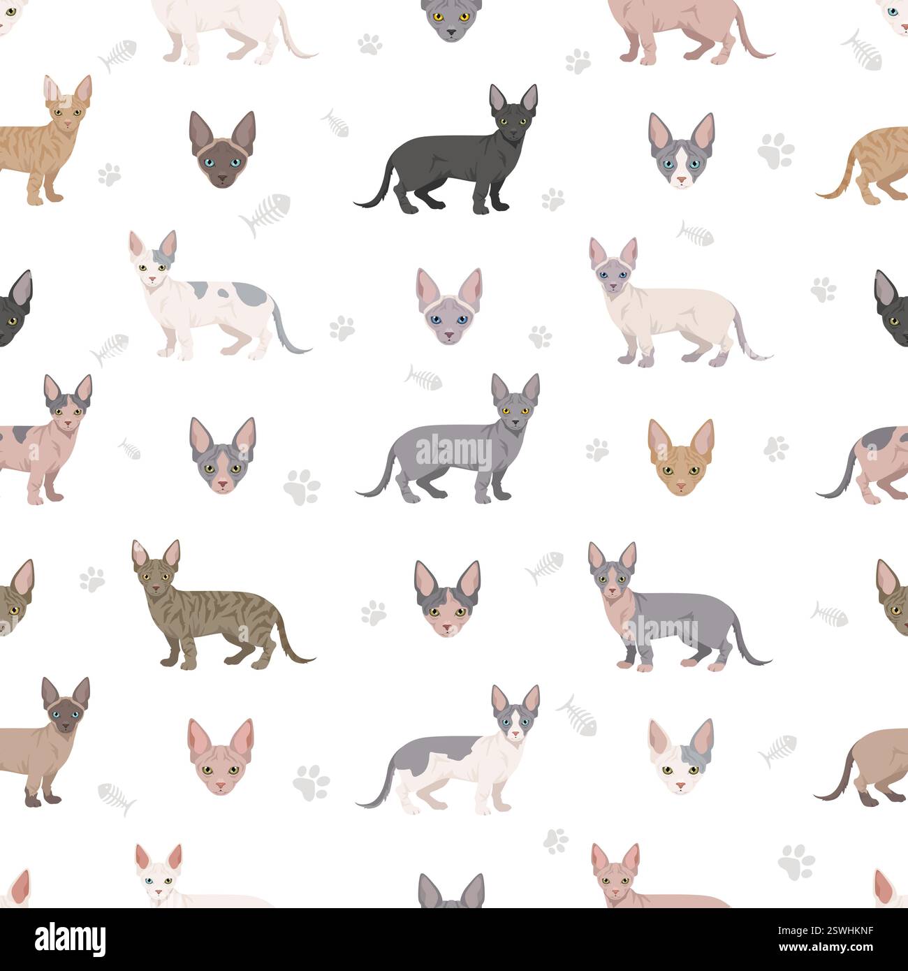 Minskin Cat seamless pattern Munchkin, Burmese, Sphynx, Devon Rex cross ...
