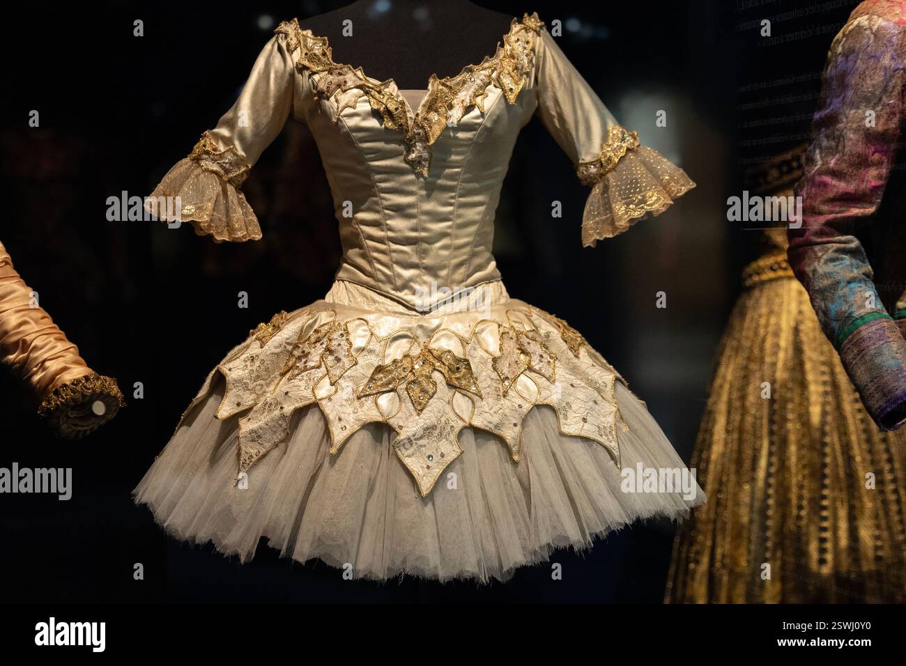 A tutu in the  Nureyev permanent collection at the Centre National du Costume et de la Scène in Moulins, France. Stock Photo