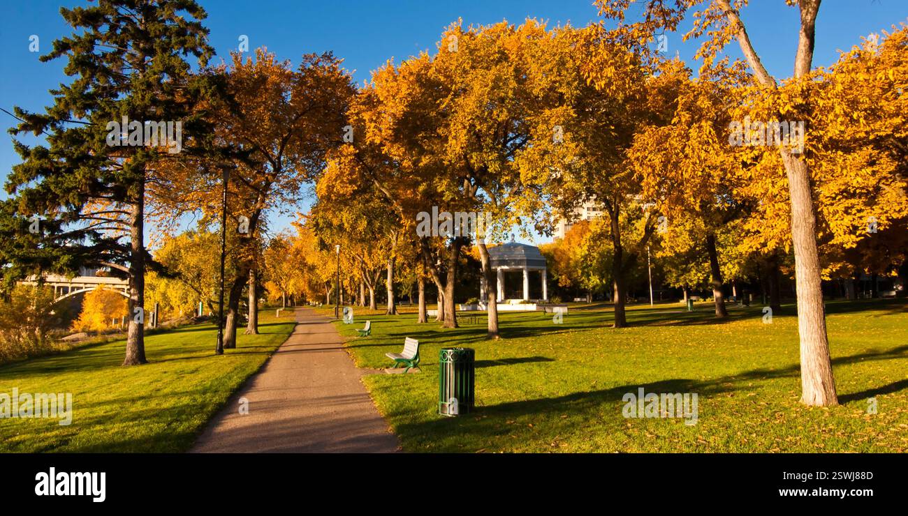 Park with a path and benches. The path is lined with trees and the ...
