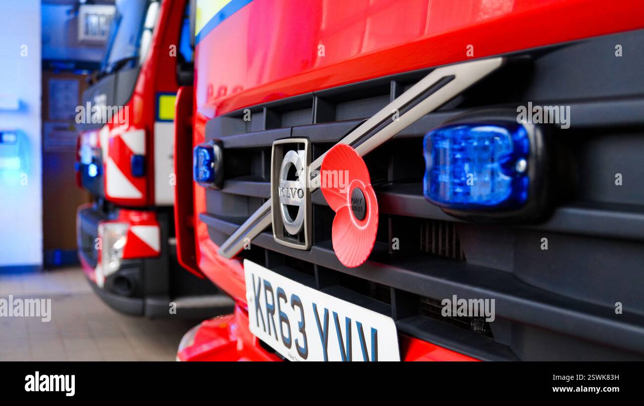 Fire Engine Poppy Close up fire poppy hi-res stock photography and images - Alamy
