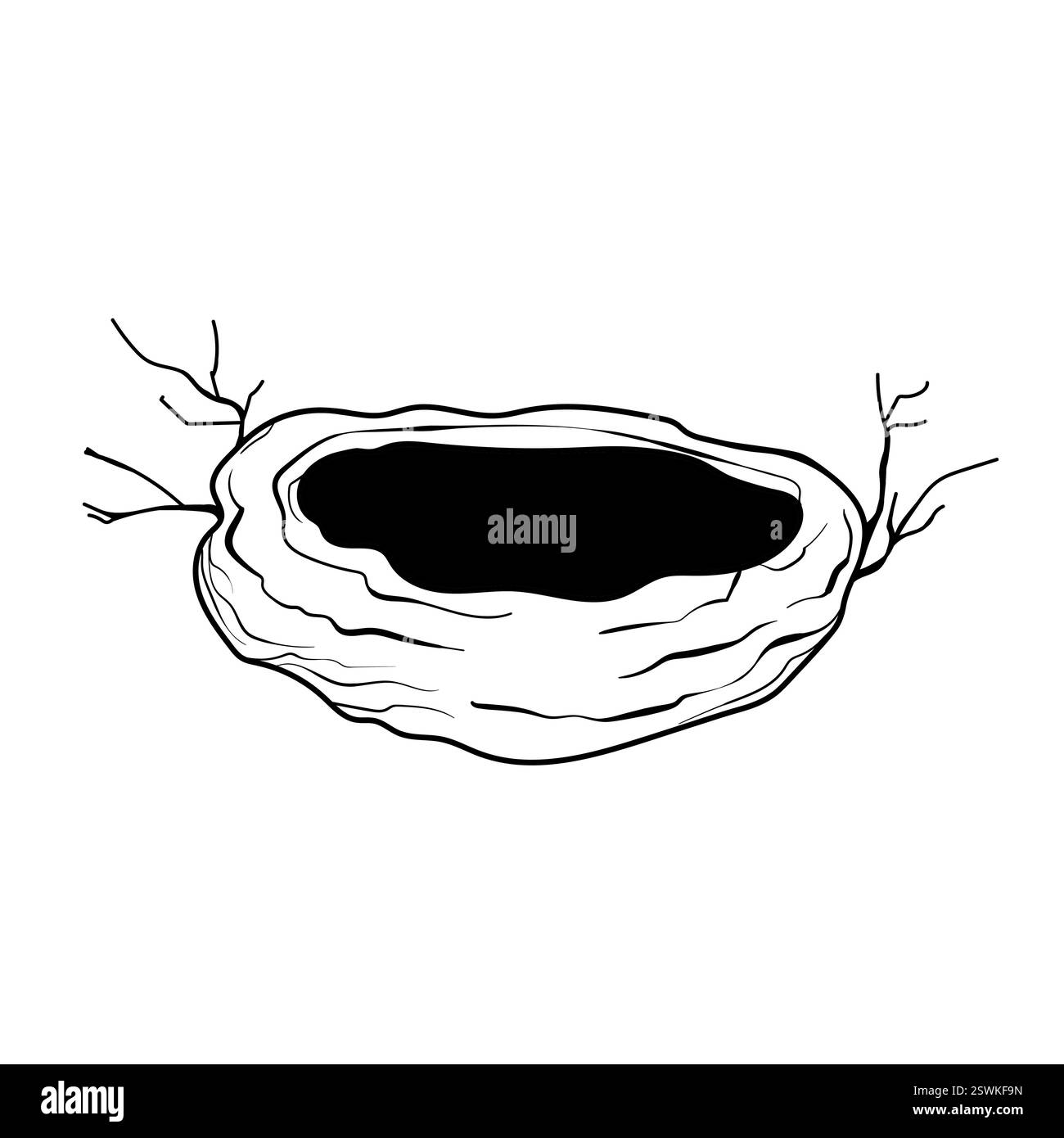 Bird nest with eggs. Easter hand drawn vector illustration, template ...