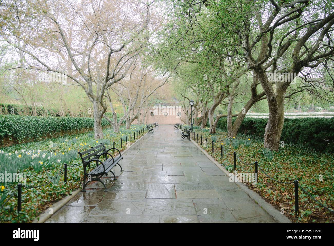 A tranquil path surrounded by lush trees and benches invites visitors to enjoy a peaceful stroll on a rainy day. Stock Photo