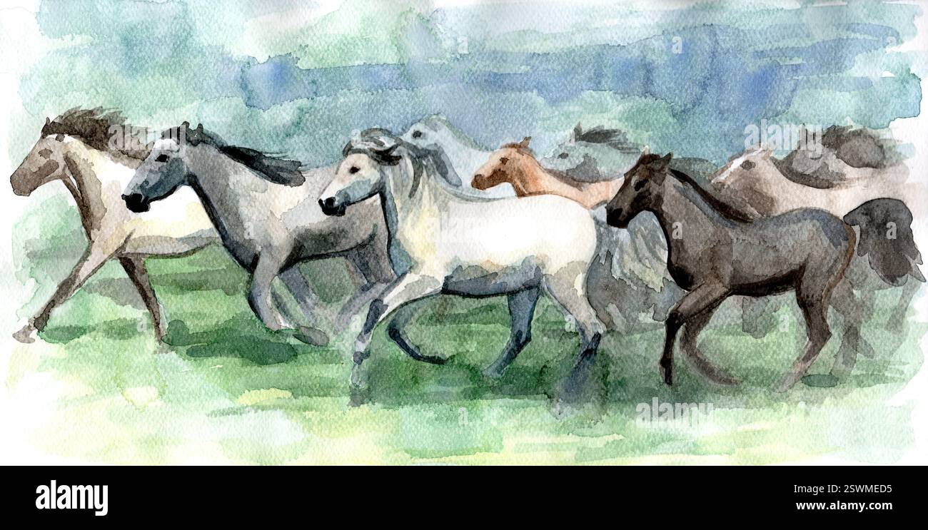 A herd of horses galloping watercolor