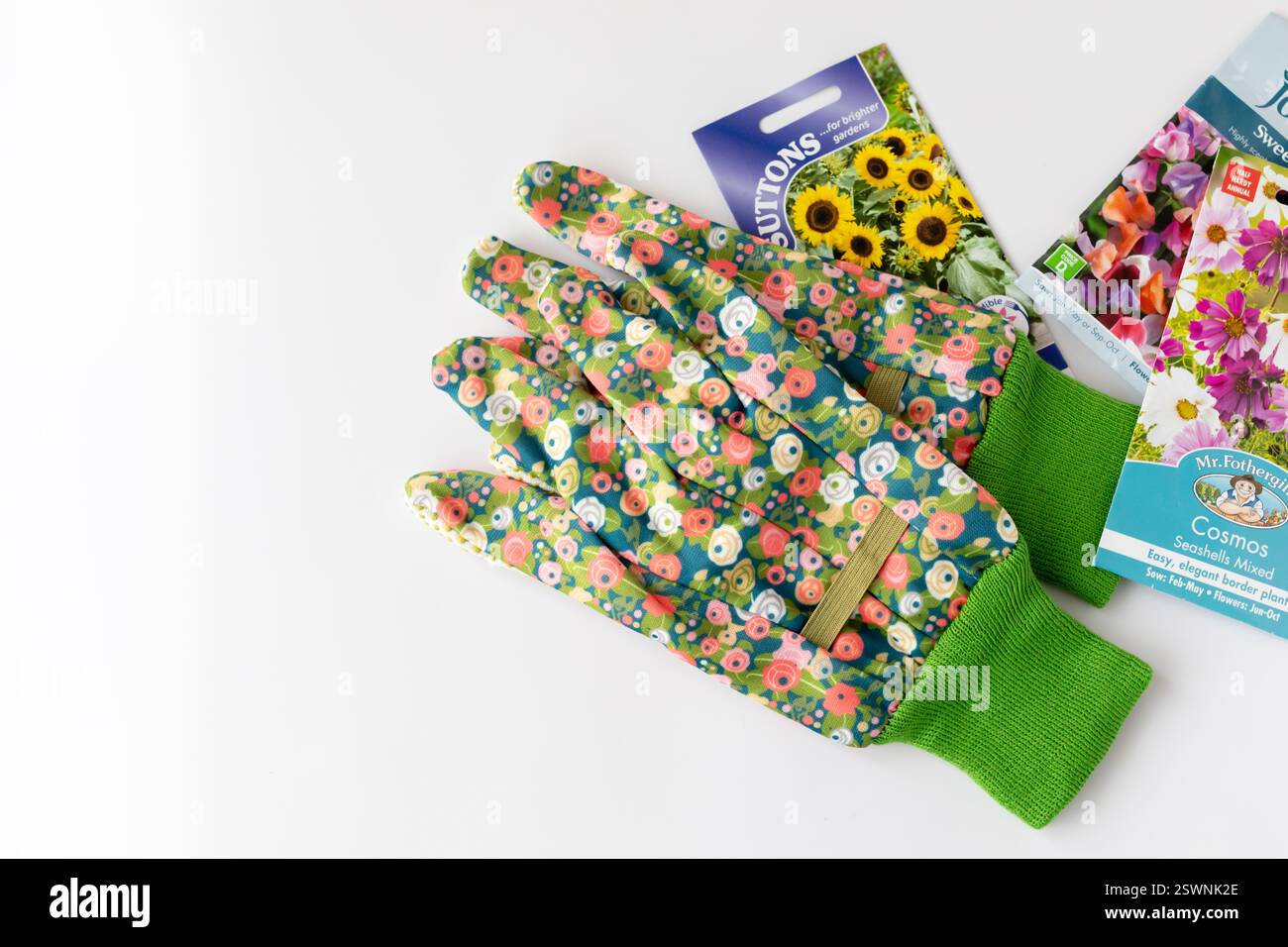 Gardening gloves and packets of flower seeds Stock Photo