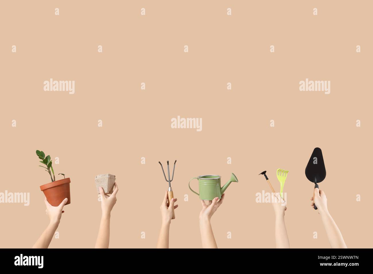 Female hands with gardening tools and plant on beige background Stock Photo