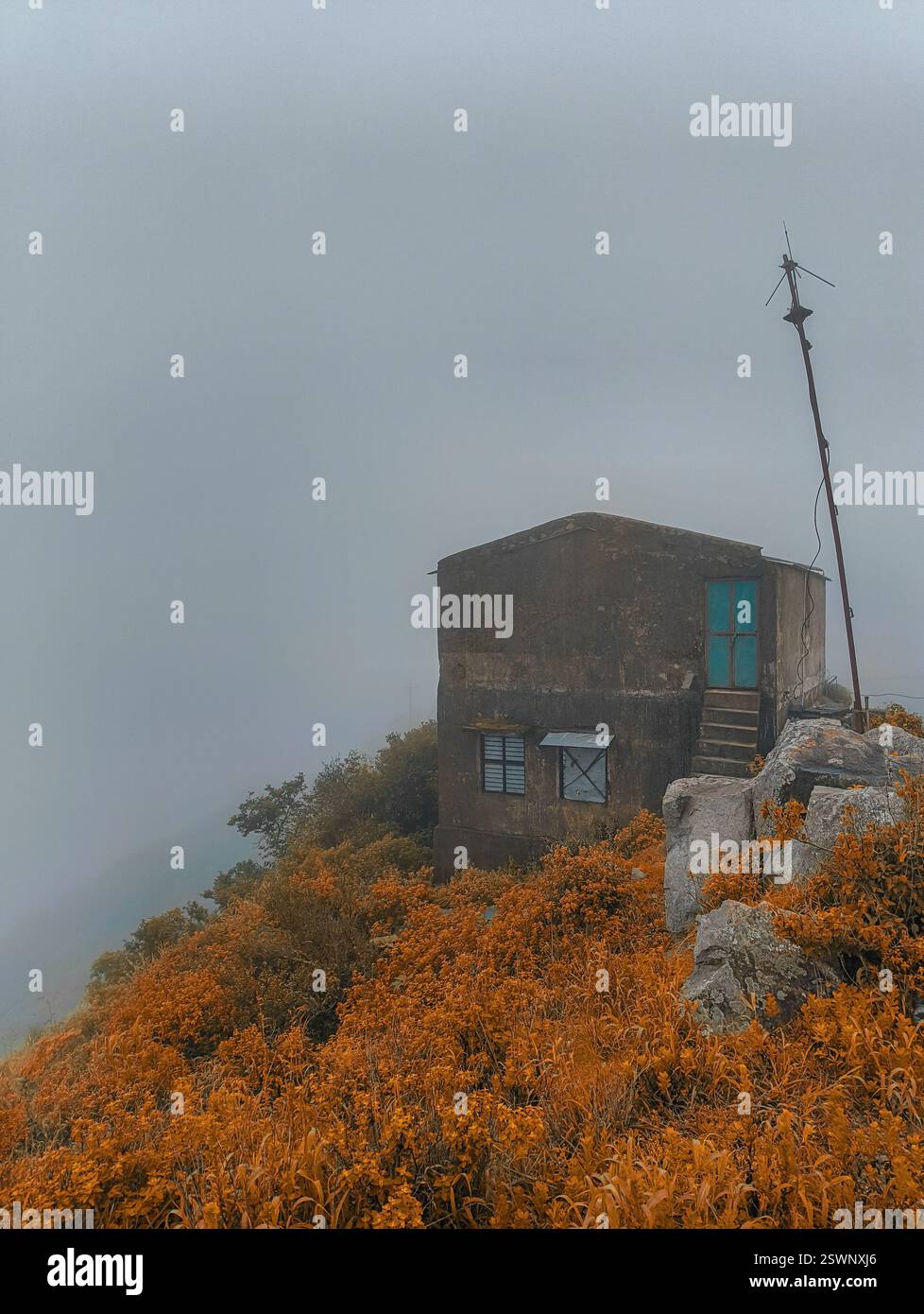 Abandoned hilltop house shrouded in mist, surrounded by golden autumn-like foliage; eerie and isolated, and surreal in the foggy wilderness. Stock Photo