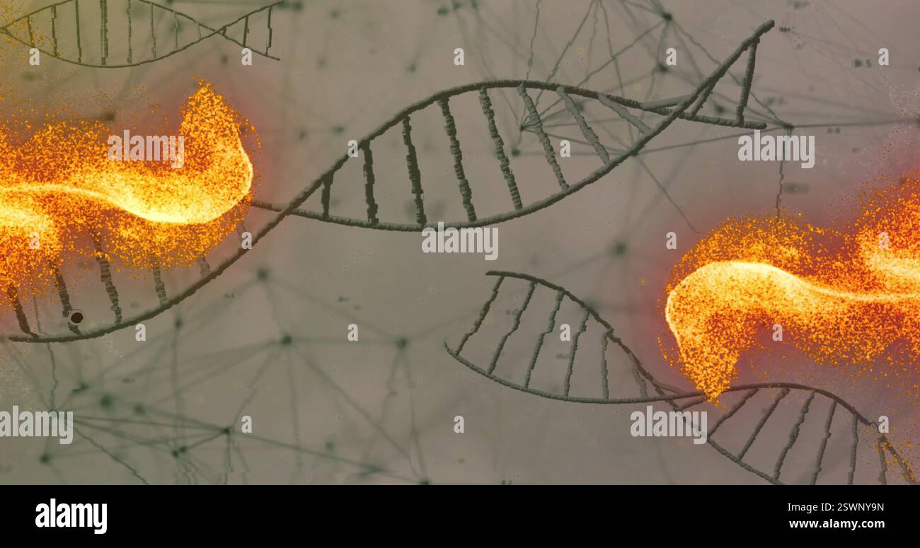 Strands Shape Image of orange shapes over dna strands Stock Photo - Alamy