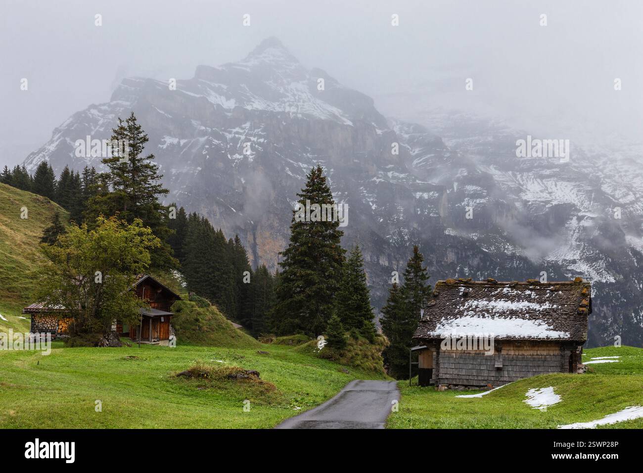 Traditional Chalets of Murren village and Jungfrau montain at spring ...