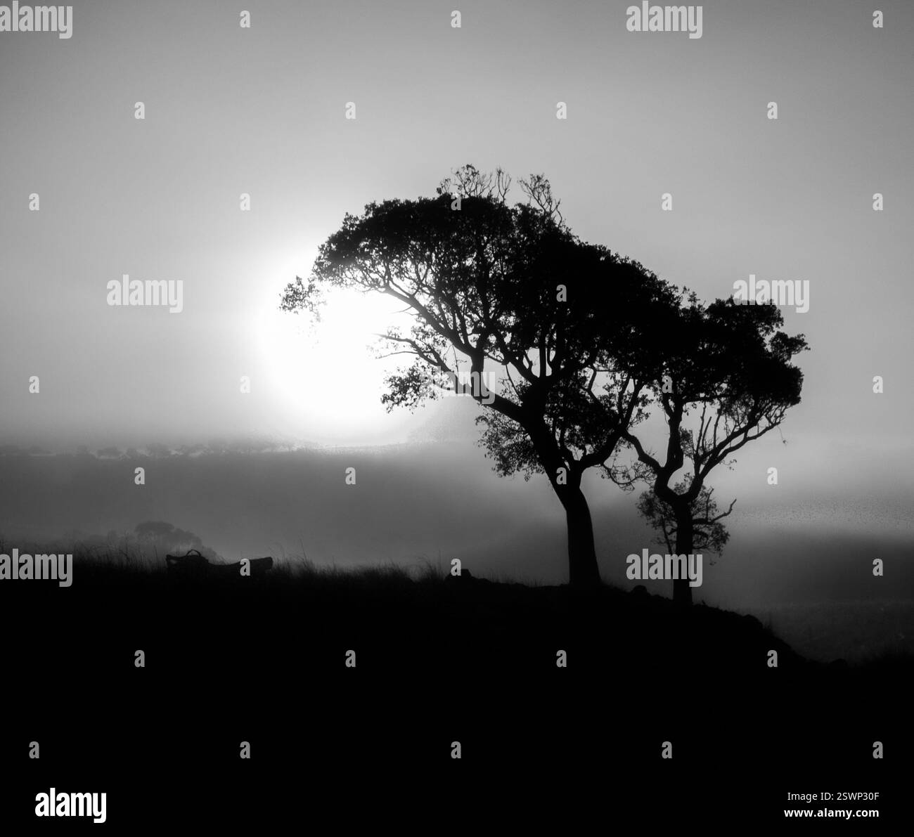 Warm sunlight sunrise in Black and White Stock Photos & Images - Alamy